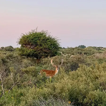 Appartamento Stella Maris Dune Zandvoort