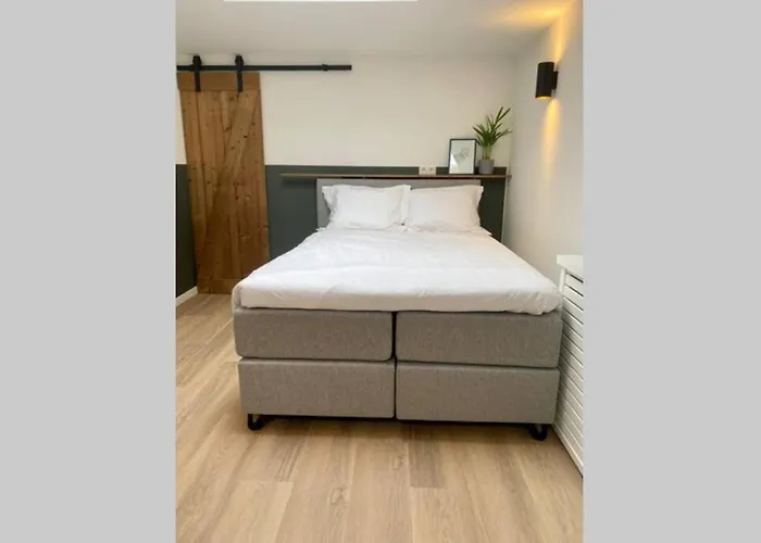 Stella Maris Dune 잔드보르트